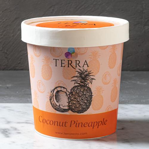 Gambar TERRA Coconut Pineapple Ice Cream 16 Oz dari Terra Eats Jakarta Selatan Tokopedia