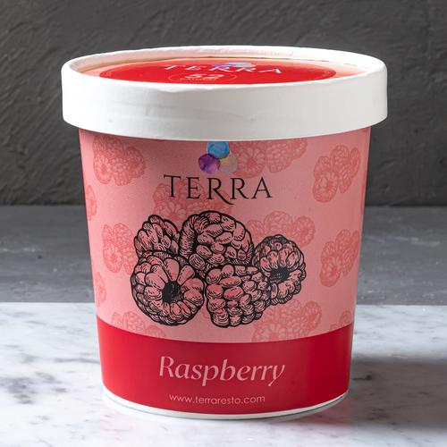 Gambar TERRA Raspberry Ice Cream 16 Oz dari Terra Eats Jakarta Selatan Tokopedia