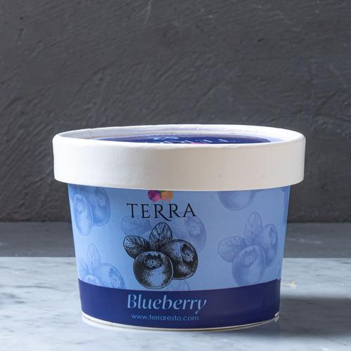 Gambar TERRA Blueberry Ice Cream 8 Oz dari Terra Eats Jakarta Selatan Tokopedia