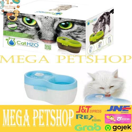 cat it water fountain