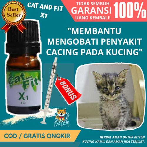Jual Obat Penyakit Cacing Hati Pada Kucing Cat And Fit X1 Ultimate Kab Banyumas Vitamin Dan Obat Kucing Tokopedia