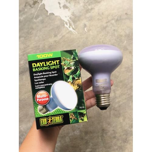 Jual EXOTERRA DAYLIGHT BASKING SPOT 100 WATT Lampu UVA