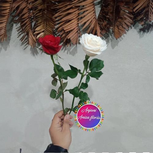 Jual Bunga Mawar Asli Bunga Mawar Satuan Putih Jakarta Selatan Anjani Anisa Florist Tokopedia