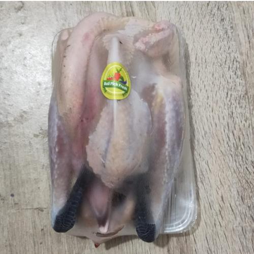 Ayam Kampung yang Dicuci Bersih