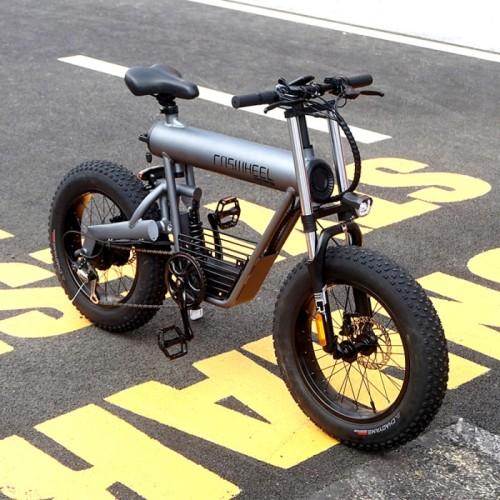 Jual Coswheel T20 Electric Bike 