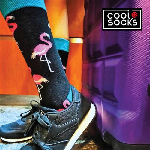 Gambar CoolDeSocks Original | Kaos Kaki Motif - Pink Flamingos Teal Blue dari CoolDeSocks Official Jakarta Barat Tokopedia