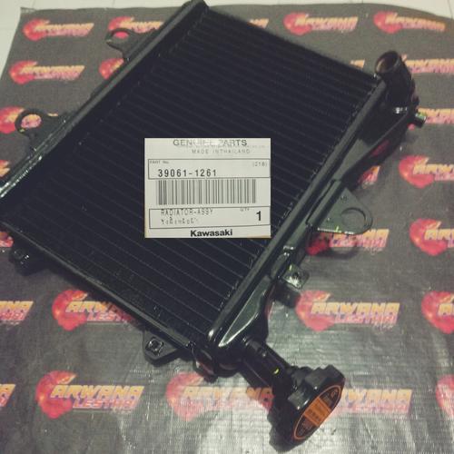 Rr150 Radiator Jual Radiator assy set ninja rr 150 zx old new original - Jakarta Barat ...