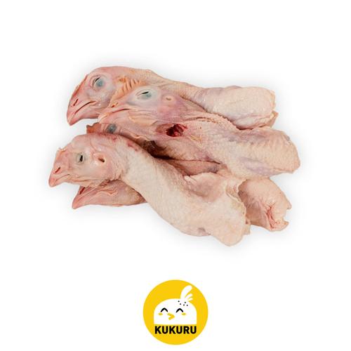 850 Koleksi Gambar Burung Kepala Ayam HD