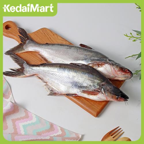 Gambar Ikan Patin Segar 1 Kg dari KedaiMart Official Store Kota Tangerang Tokopedia