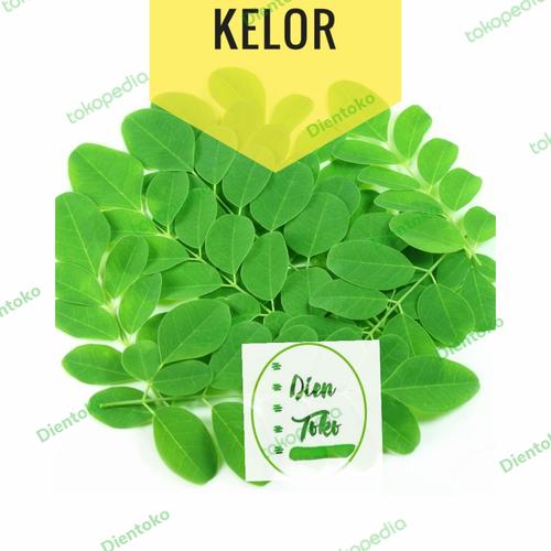 Gambar daun kelor segar alami 100 gram - 100 gram dari Dientoko Kota Surabaya Tokopedia