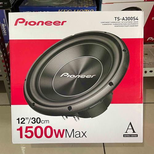 12 inch Subwoofer Double Magnet 