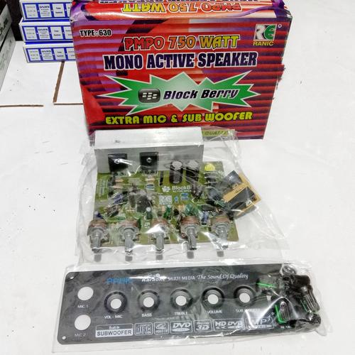 Jual kit speaker aktif mono karaoker subwoofer Kab. Ngawi SETIA