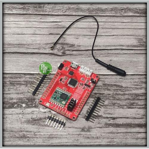 Gambar Maduino Lora Radio 915Mhz - Makerfabs dari Toko Raspberry Pi Kab. Bandung Barat Tokopedia