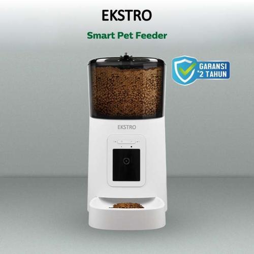 kitten not drinking milk