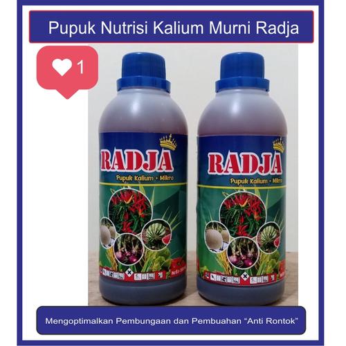 Gambar Pupuk Kalium Cair Terbaik,Murni,Tanaman Padi,Cabai,Bawang Merah dari Nutrisi Tanaman Sehat Kab. Blitar Tokopedia