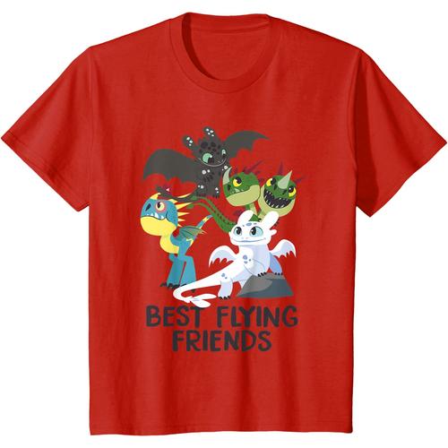 Jual Baju anak How to Train Your Dragon 