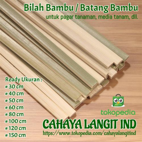 Gambar Terlaris batang bilah bambu/untuk tanaman pagar - 30 cm dari CAHAYA LANGIT IND Kota Tangerang Selatan Tokopedia