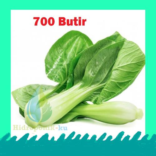 Gambar Bibit/ Benih Pakcoy Green 2gr ( 700 biji ) Hidroponik ku - Pakcoy Green dari HIDROPONIK KU Jakarta Barat Tokopedia