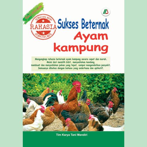 Jual Rahasia Sukses Beternak Ayam Kampung (Full Color) - Kab. Bandung - z0zero | Tokopedia