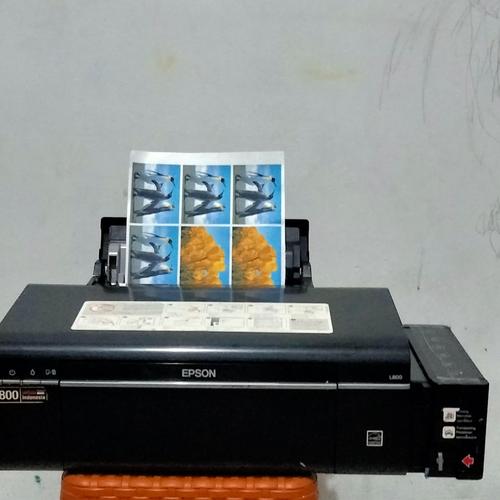 printer epson l800 harga