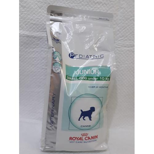 pediatric junior small dog