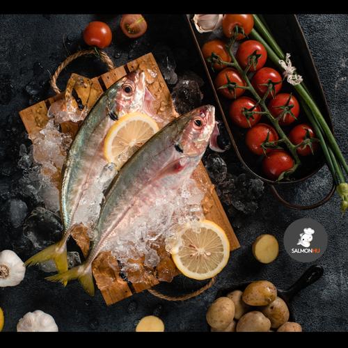 Gambar Ikan Kembung Como Segar dari Salmon Hu Jakarta undefined Tokopedia