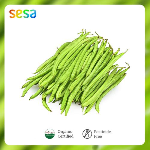 Foto Produk Sayur Buncis Baby Organik /250g dari SESA Official