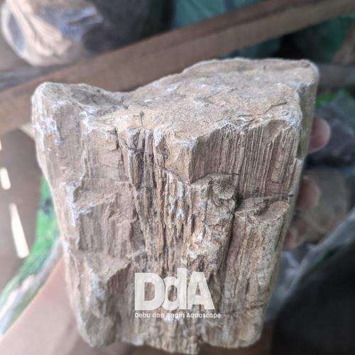 Gambar Batu Fosil / Batu Aquascape dari Debu dan Angin Aquascape Kota Tangerang Selatan Tokopedia