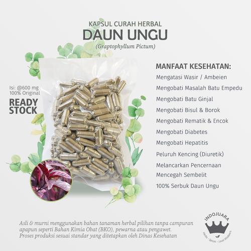 Gambar DAUN UNGU 100 Kapsul Herbal Rematik Sakit Menopause Wasir Borok Empedu dari Indojuara Kota Bandung Tokopedia