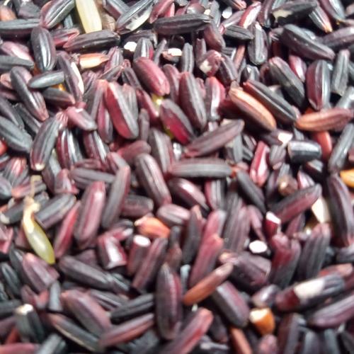 Jual Beras Ketan Hitam Punel 1 Kg Kota Surabaya Fahreza Sembako 