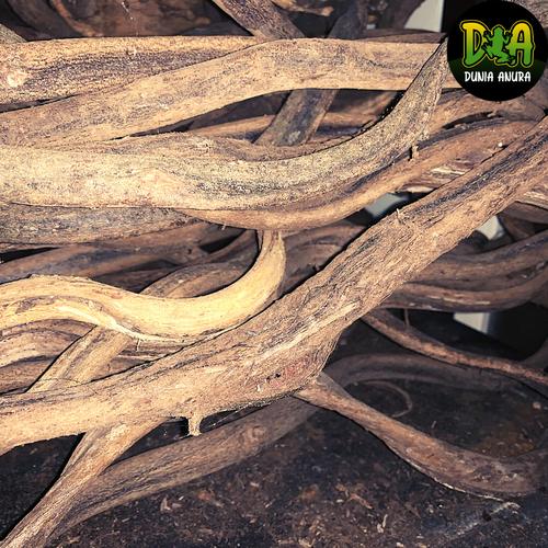 Foto Produk Kayu Trinil ukuran S untuk enclosure dari Dunia Anura
