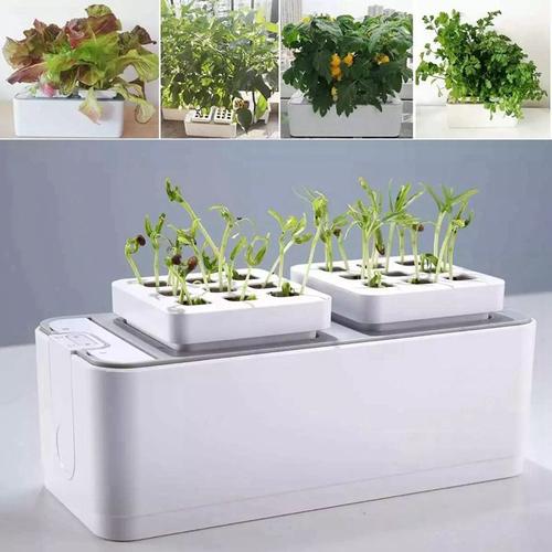 Jual Hydroponic Indoor Garden Kit Smart Multi-function Growing Vegetable - Kota Surabaya - Hasil Kimia Tokopedia
