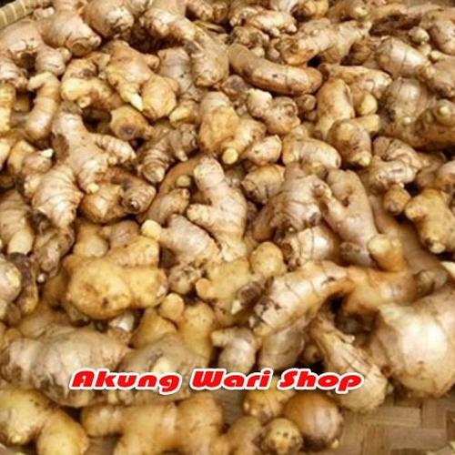 Foto Produk Jahe Emprit Segar 1 kg (sudah bersih) - 1/2 kg dari Akung Wari Shop