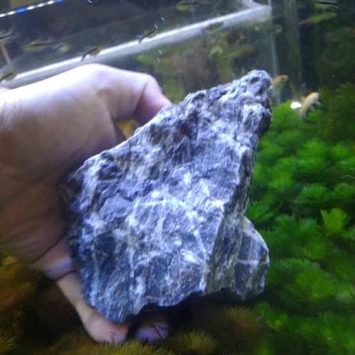 Foto Produk batu kreket / black seiryu lokal batu aquascape dari gello shrimp