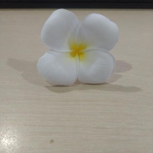 Jual Kamboja Kelopak 4 Jakarta Selatan Nadifaputri Tokopedia