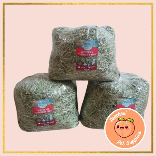 Foto Produk Oxbow Timothy Hay Second Cut - Repack 1 kg dari Peaches Pet Supplies