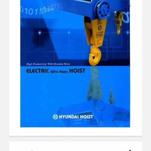 Jual HYUNDAI HOIST the Best Korean Hoist Kota Surabaya maxicranes