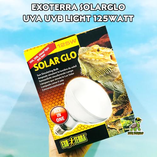 Gambar EXOTERRA SOLARGLO UVA UVB 125WATT LAMPU UVAUVB REPTILE dari XDR TURTLE undefined Tokopedia