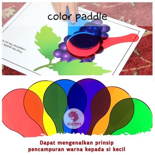 Foto Produk Zoetoys Learning Resources 'Color Paddle' - Tidak Ada Merk dari zoetoys