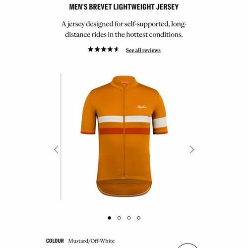Brevet Lightweight Jersey - Mustard 