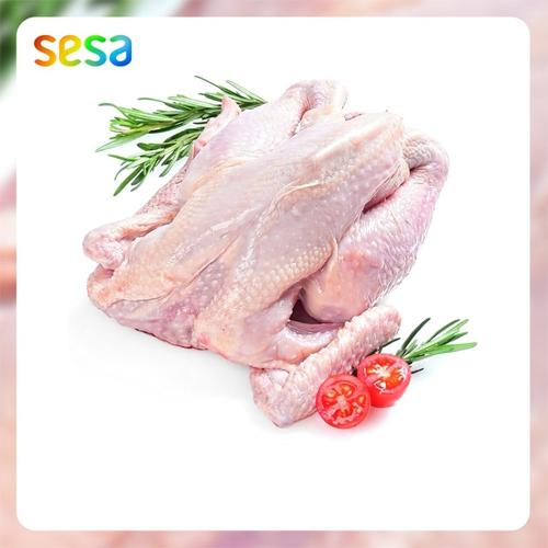 Foto Produk Ayam Kampung Organik Beku 0.8 - 0.9 KG dari SESA Official