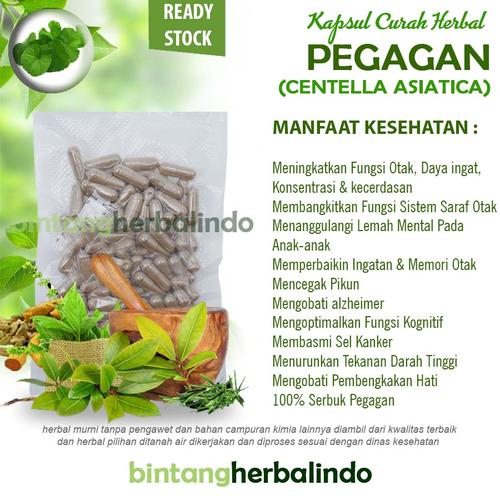 Foto Produk Kapsul Curah Herbal PEGAGAN Suplemen Otak Stress Pikun 100 capsul dari bintangherbalindo
