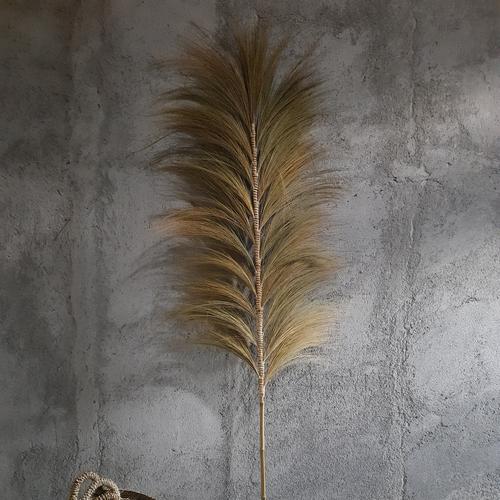 Foto Produk Home Decor Rayung Kering Panjang 200cm, Bunga Kering Rayung. - natural dari kreasikayu