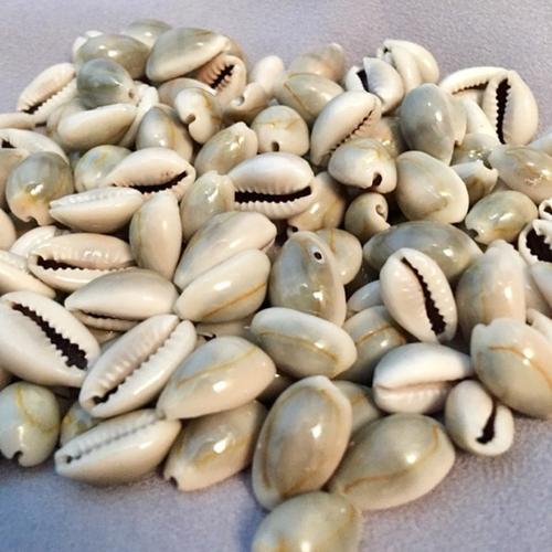 Foto Produk Biji Congklak Kerang Asli - Kuwuk dari reynaldo-tan