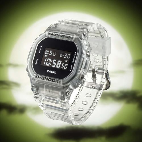 Jual Casio G-Shock DW-5600SKE-7DR 