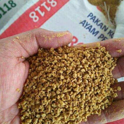 78 Gambar Bebek Ayam Burung Dara Gratis Terbaik