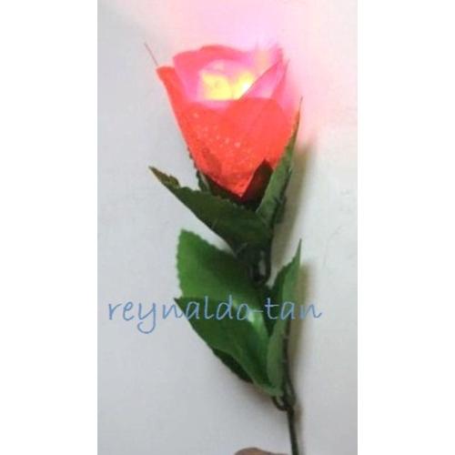 Foto Produk Alat sulap Bunga Nyala Lampu - Dlite Rose - Light Rose dari reynaldo-tan