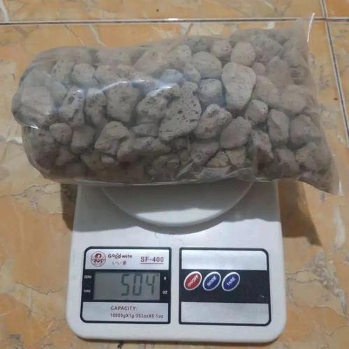 Gambar pumice media tanam / Batu Apung untuk Kaktus Sukulen dari Riri_Adventure Jakarta Jakarta Timur Tokopedia