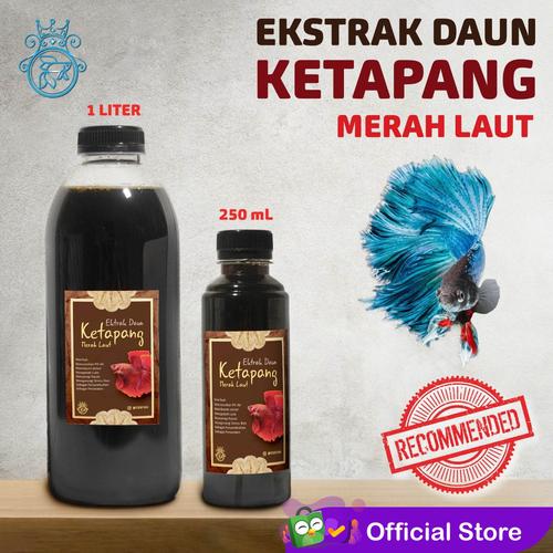 Foto Produk Ekstrak Daun Ketapang Merah Laut Asli Perawatan Ikan Cupang / Cair - 250ml dari CGK Online