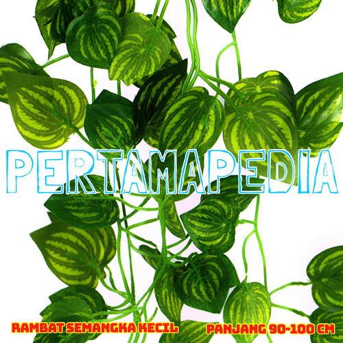 Foto Produk Daun Rambat Plastik/ Daun Rambat Artificial/ Semangka K90 - SEMANGKAKECIL90 dari PERTAMA PEDIA